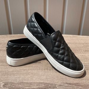 Steve Madden Ecentrcq Sneakers